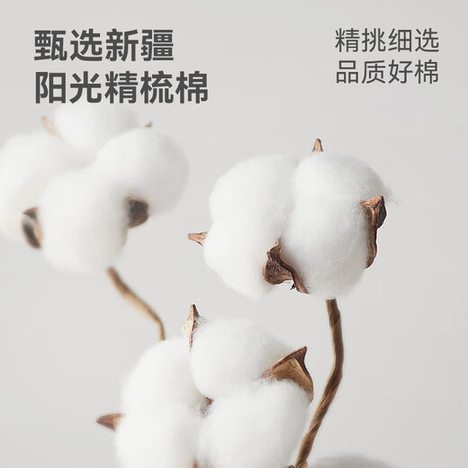 京东京造【100%纯棉】6双女式中筒袜子10A抑菌新疆棉袜休闲女防臭 黑白