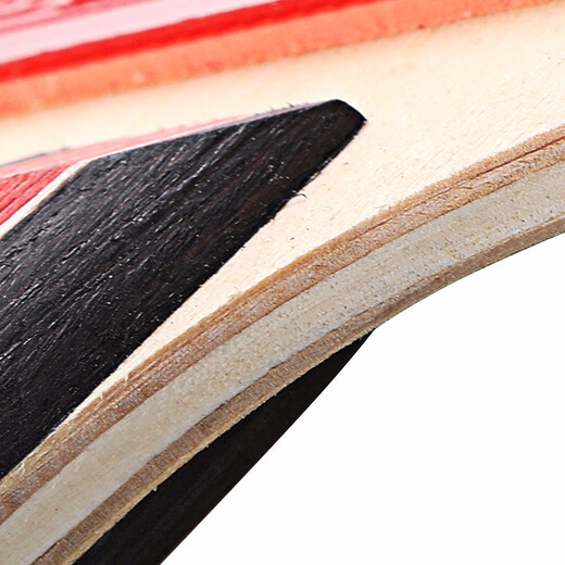 729友谊729乒乓球拍儿童初学者小学生中考训练兵乓球成品单拍乒乓拍 金二星【长柄横拍】2星