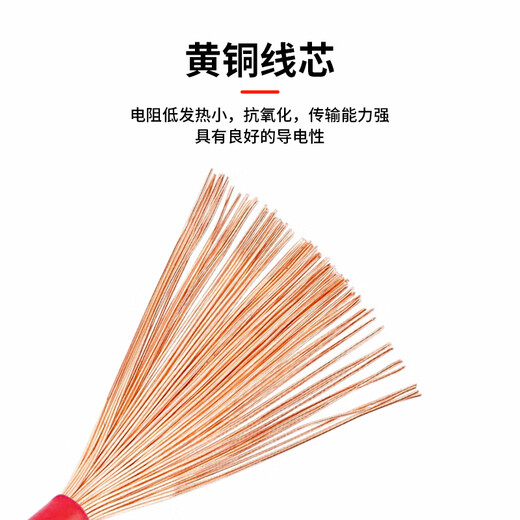 Baye Electric Vehicle Copper Battery Cable High Temperature Resistant Bold Battery Series Cable 4 square meters (with 2 screws) 0.8m 1 piece BY-CL4X80