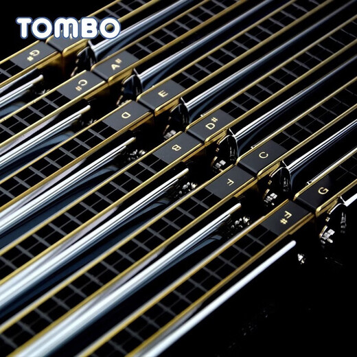 通宝（TOMBO）通宝TOMBO6624s套装12调7调口琴高级成人专业演奏级初学者自学 6624S【高端演奏级】12调