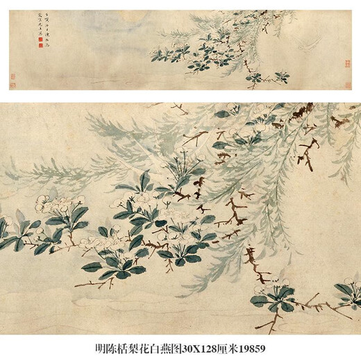 Chen Chun, la imagen en color de primavera de Luoyang, las pinturas de flores y pájaros son ligeramente rociadas y réplicas antiguas de nuevas pinturas chinas famosas, la imagen del color de primavera de Luoyang, la imagen de color de primavera de Chen Chun, la imagen de color de primavera de Luoyang, la montaje especial de Axis de Axis de Axis de Horizontal Milky White Papet Pinte de arroz.
