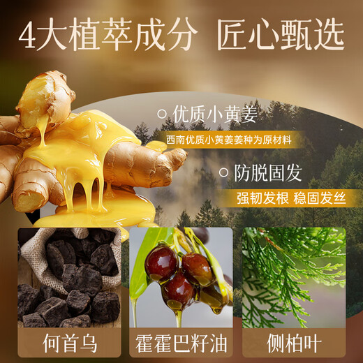 卓蓝雅生姜防脱固发洗护套装（防脱洗发水800ml+护发素800ml) 生姜固发