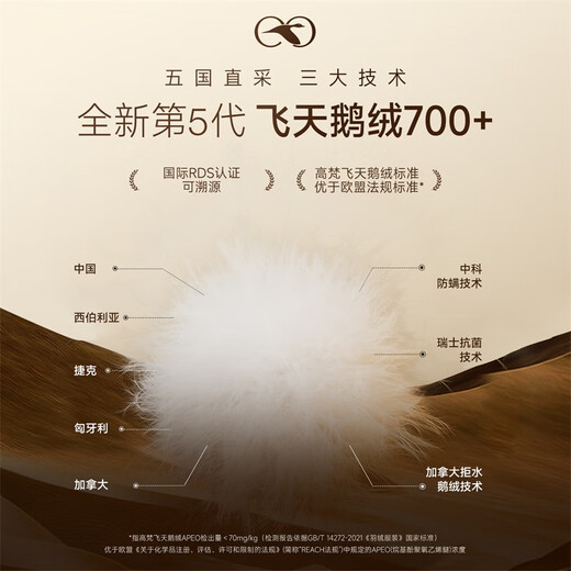 Gao Fan and Yang Mi's same style black gold goose down jacket Queen 5.0 five-lattice women's puff down jacket fashionable versatile thickened jacket black S