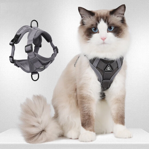 Huaneng Cat Leash Vest Type Harness Reflective and Breathable When Walking Cats Rope British Short Ragdoll Pet Leash M chest 34-40cm (recommended 8.5-14 Jin Jin equals about 0.5 kg)
