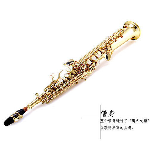 Golden Tone Tortune Saxophone B-flat B-key Beginner Practice Professional Grade Examination Performance Band Straight Wind Instrument JYSS-2000