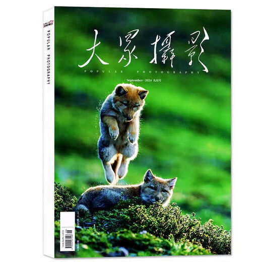 Beliebtes Fotografie Magazin 2025/2024/2023/2022 Januar/2/3/4/5/6/7/8/9/10/11/Dezember Journal of Art Porträt Fotografie Photography Technologie Populär Fotografie September 2024 Gesamt Nr. 695
