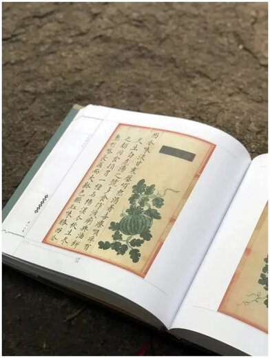 《食物本草  宫廷写本》。华夏出版社2000年出版。来自明代，发行386种食物，493张手绘图，大十二开，530页。
