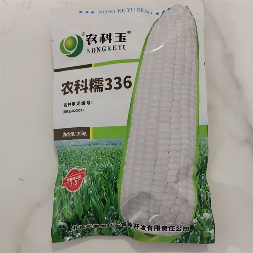 Nongkeyu Nongkenuo 336 waxy corn seeds, high yield, early maturity, spring sowing, sweet and waxy, good taste, white waxy corn Nongkenuo 336, original 200g, 1 bag