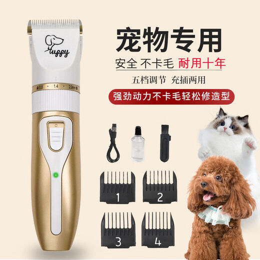 High-power pet electric clipper, dog shaver, cat Teddy grooming clipper, shaving feet, champagne gold daily set, high-power, non-stuck hair clipper