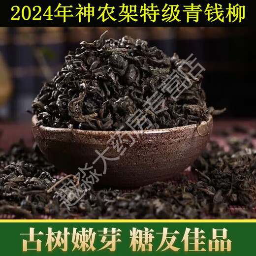 Xiuyue kehrt Qingqian Liu [2025 neu