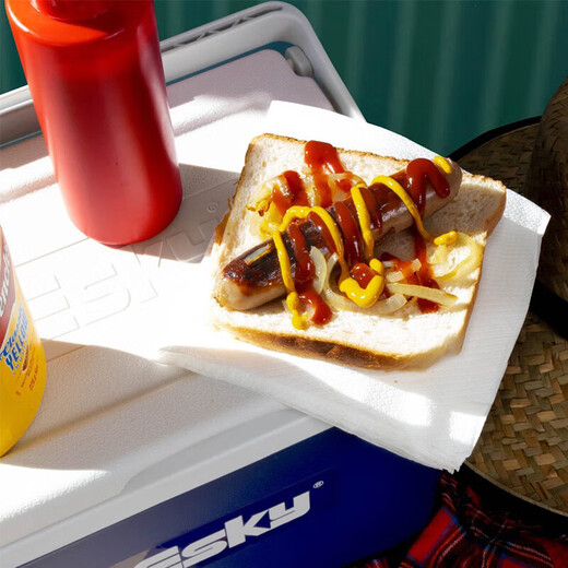 Eski Car Refrigerator Cooler Insulated Box 33L with Skylight Outdoor Insulated Box Cooler Camping Portable Fresh Box 10L (With Ice Brick 1)