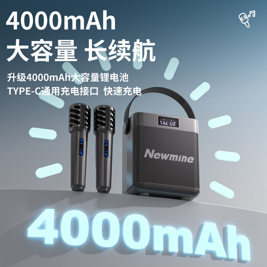 Newmine K519 Bluetooth audio maison karaoké haut-parleur lecteur de musique haute puissance hifi haute qualité sans fil extérieur portable haut-parleur portable cadeau pratique super longue durée de vie de la batterie