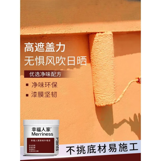 语森忆外墙漆防水防晒漆水泥漆轮胎彩绘漆阳台墙面漆油漆室外乳漆涂料 暖白色1391防水防晒送全套工具 0.3kg