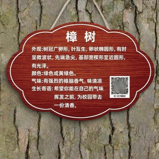 Tree tag, plant label, nameplate, garden tree name introduction, custom acrylic tree name, Arbor Day 20x15cm, preferred material, more durable