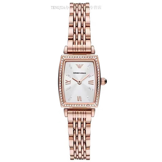 Emporio Armani Women's Watch, modischer Diamant-Set-Gürtel, Fritillaria Quartz Small Green Watch, quadratischer Trend AR11149 AR11302