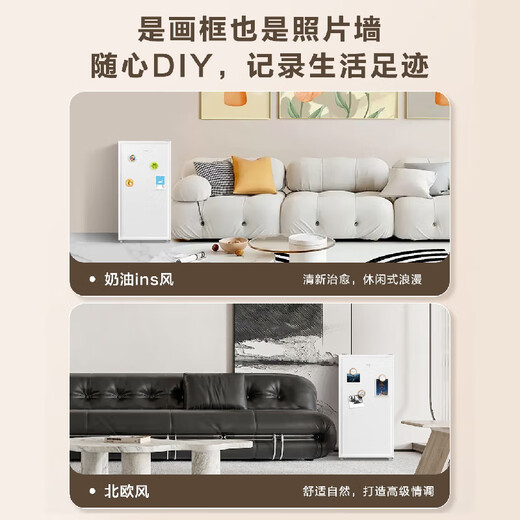 海尔（Haier）立式冰柜151/211升一级能效匀冷减霜家用 冷冻柜抽屉式冷柜艺术画框小冰柜家用小型 四区精储BD-151GHW9 151升 151L