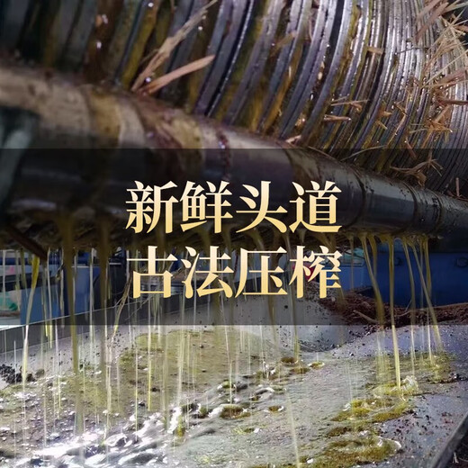 Tea seed cake, camellia oil dried flakes, natural traditional tea bran shampoo and conditioner, dishwashing and decontamination residue tea dried powder for home use, loose fine powder - 500g delivered with 3 filter bags