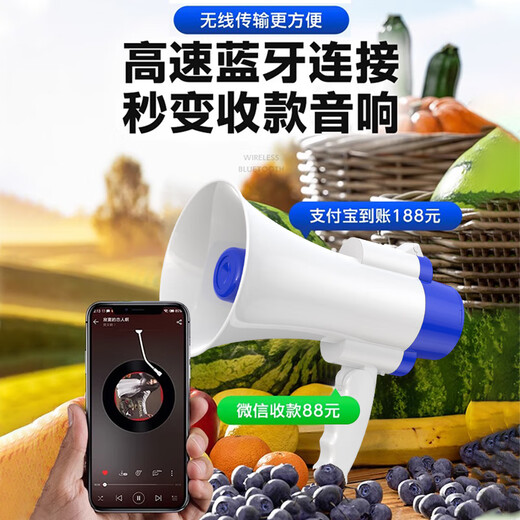 Yalanshi 518 Bluetooth wireless recording loudspeaker outdoor publicity loudspeaker mobile phone typing shouting charging charging stall portable loud loudspeaker loudspeaker supports payment broadcast