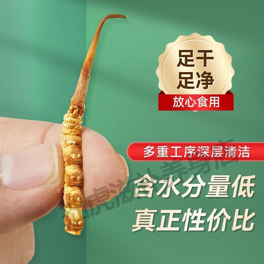Пекин Тонгрентанг качественный тибет прямые волосы Quna cordyceps Высокоэтажные кордицепсы сухой товары 100 г подарочная коробка 4 стержня/грамм 100 г подарочная коробка Lhasa Direct Hair