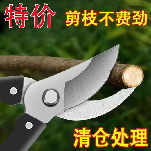 German craftsmanship imported steel branch shears, tree scissors, fruit tree shears, pruning scissors for household flowers, trees and grapes to prune branches. On clearance. 1 extra large size. Not the main picture. Original. German quality 100 times sharper + stronger hardness.