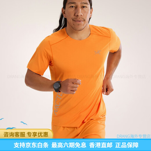 始祖鸟（ARC'TERYX）男士Norvan Downword Logo吸湿短袖T恤X9720/7735 幽雾绿/辰达绿Forage/Tatsu X972 XS