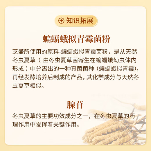仙芝楼芝盛胶囊 增强免疫力 缓解疲劳 破壁灵芝孢子粉胶囊灵芝虫草精华 2盒 60g 【推荐】日常调养
