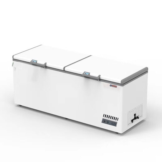 Shengyuan Horizontal Gefrierschrank 1098l