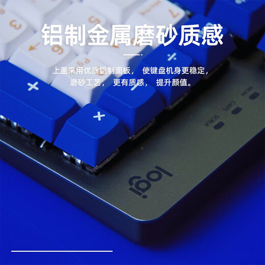 Logitech K845 Wired Mechanical Keyboard Computer E-Sports Office Games Color Personalized Customized PBT KeyCap K845+Green and Purple Color Combination Brandneue Original-Auswahl an grünem Achsen-Typing-Typoring