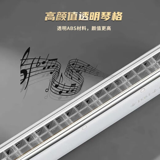 Guoguang 24-Loch Polyphonische Mundhonica importierten Chung Schwankend Klang Schöne Anfänger für Erwachsene Advanced Professional spielen Mundharmonica B Tune + Vollständige Geschenke