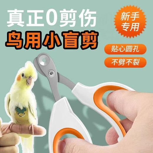 Nail scissors for parrots, nail sharpener for birds, claw sharpener for birds, nail clippers for cats, general purpose for beginners, buy 1 get 1 free - special nail scissors for parrots
