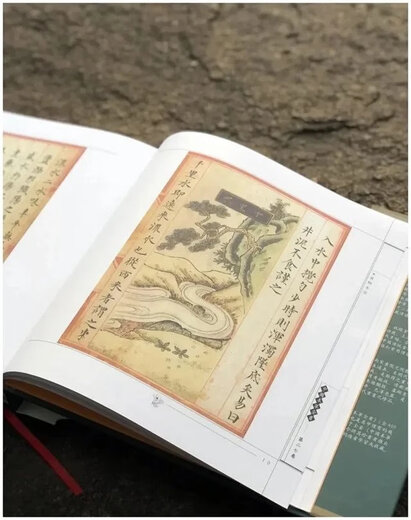 《食物本草  宫廷写本》。华夏出版社2000年出版。来自明代，发行386种食物，493张手绘图，大十二开，530页。