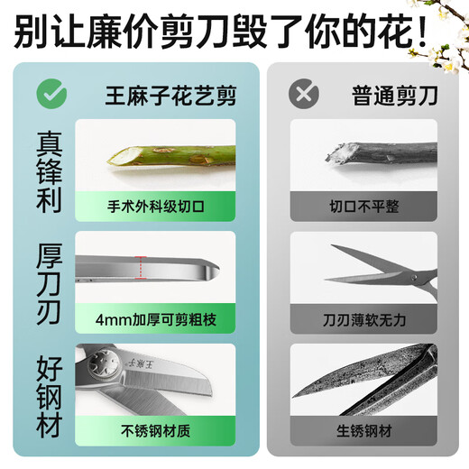 Wang Mazi floral scissors, pruning shears, gardening scissors, fruit tree potted flowers, flower branch scissors, professional floral scissors