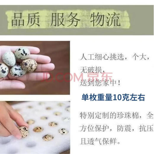 Ecological breeding, fresh and farm-raised free-range quail eggs, whole box, baby food supplement, nutritious, healthy and nourishing, ecological quail eggs, 25 pieces Ecological breeding, fresh and farm-raised free-range quail eggs, whole box, baby food supplement, nutritious, healthy and nourishing, ecological quail eggs, 25 pieces