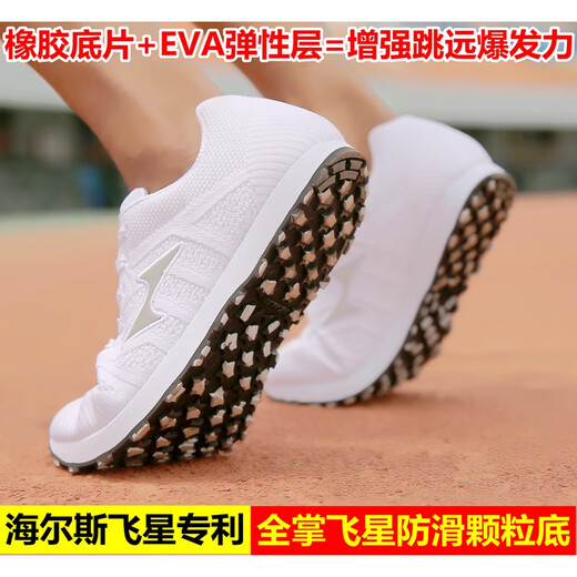 Hailes 6699 Спортивные экзамены для спортивных экзаменов для студентов.