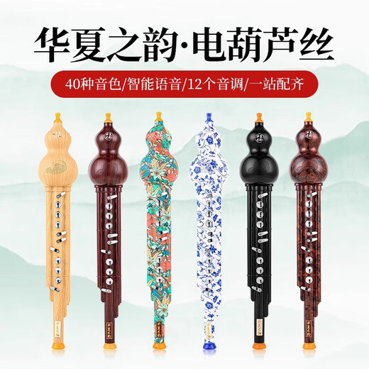 CHINE RHYME HUAXIA ELECTRIC HULUsi Musical Instruments Domestic Electronic Blow Tube Hulusi Electronic Electric Electric SA Instruments de musique débutant Nouveau type Hulusi-Blue et Porcelaine blanche