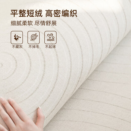 梵慕帛 VANMBO地毯客厅奶油风2025新款免洗可擦家用沙发茶几防水地垫卧室床边毯 素线-15934 240cm*360cm 防潮隔音