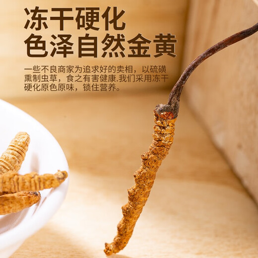 La caja de regalo de Cordyceps sinensis es genuina para los regalos de vacaciones para visitar a familiares para enviar a los padres y ancianos a los ancianos Día del Padre Bienes de Año Nuevo 20 Regalos de regalos para enviar a familiares para visitar regalos de alta gama