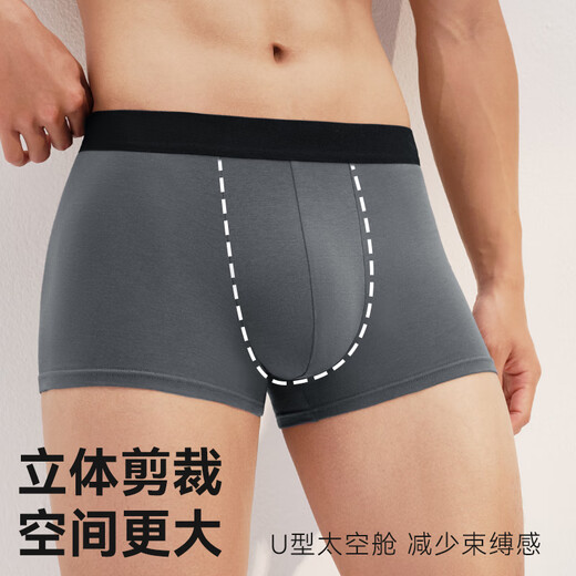 Made in Tokyo, 10A antibacterial men's underwear, men's pure cotton boxer briefs, large size boys' boxer shorts, 4 pieces XL