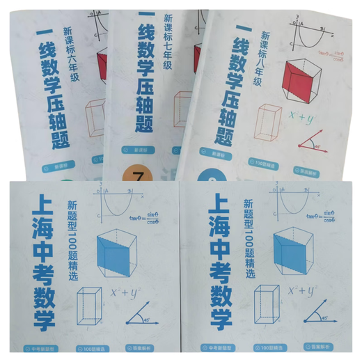 上海新课标初中数学一线压轴题678年级中考数学新题型100题精选 678年级一线数学压轴题+中考新题型100题精5