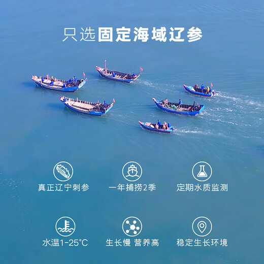 Tongrentang sea cucumber Dalian ready-to-eat sea cucumber individually packaged Liao cucumber 200g 6-8 solids 80% premium sea cucumber