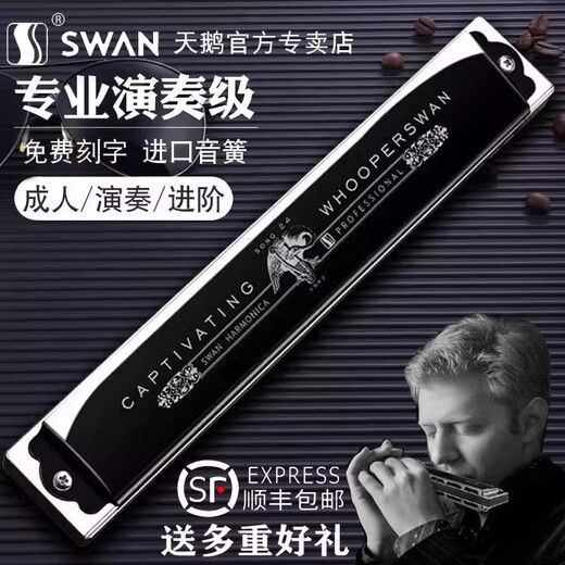 Swan Ring importé 24-hous Polomonie harmonique c-tune avancé Adult Performance Professional Instruments Gifts Instrument [performance professionnelle] C-Tune polyphonique en argent à 24 trous