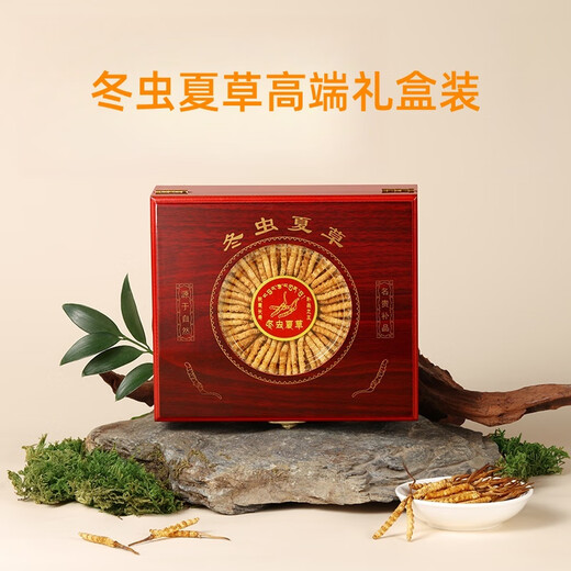 冬虫夏草干货正宗冬虫夏草礼盒装虫草王雄风道滋补养生冬虫夏草 两根一克10根【盒装】