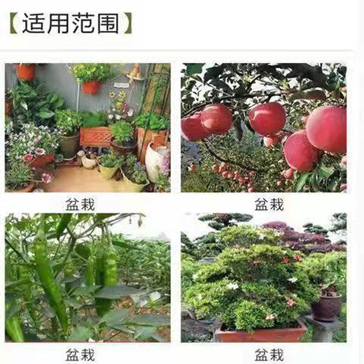 Agricultural granular compound fertilizer, superphosphate fertilizer, general purpose planting for melons, fruits and vegetables, rooting, strengthening seedlings, regulating soil 80 Jin Jin is equal to 0.5 kg Granular superphosphate original packaging