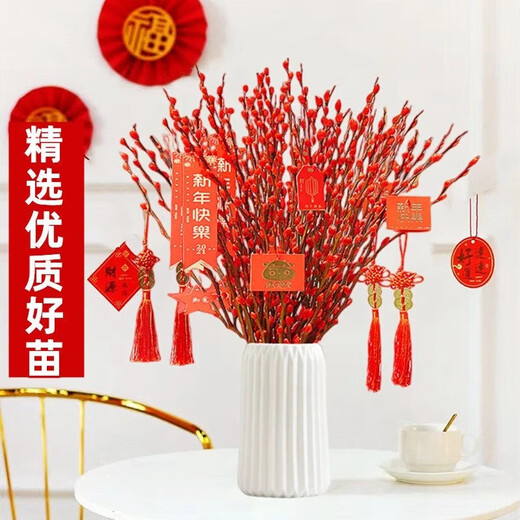 Red Lucky Silver Willow, Dried Flowers, Real Flowers, Fresh Branches, Cold-resistant New Year's Eve Flowers, Hydroponic Flowers, Indoor Decorative Flowers, 60cm, 30 Count, Free Lanterns