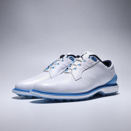 NIKE 2025 Men's JORDAN ADG 5 W Golf Shoes FQ7874-104 43