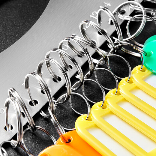 DSB (Disby) Red Key Disk 18-bit Key Ring Landlord Tag Card Chain Management Key Chain Thickened Stainless Steel Mark Storage (with 23 Marking Cards)
