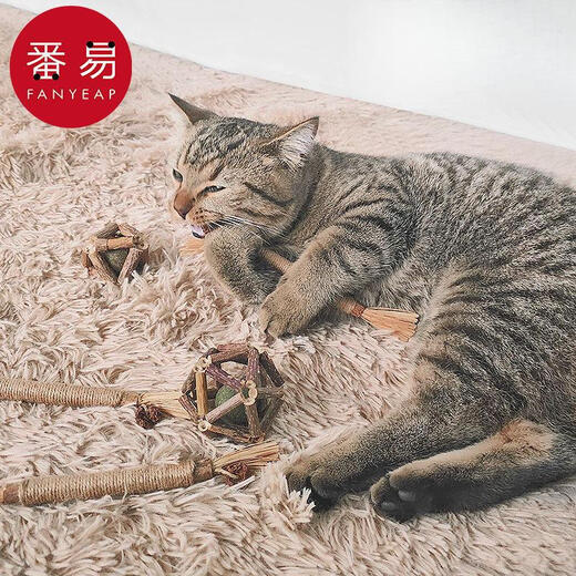 Mutian Polygonum/Stick A1P50-Cat teeth grinding, adult cat teeth cleaning, self-pleasure and boredom relief toy, pet mint Ling, thin sticks 8 pieces/pack 1 pack default