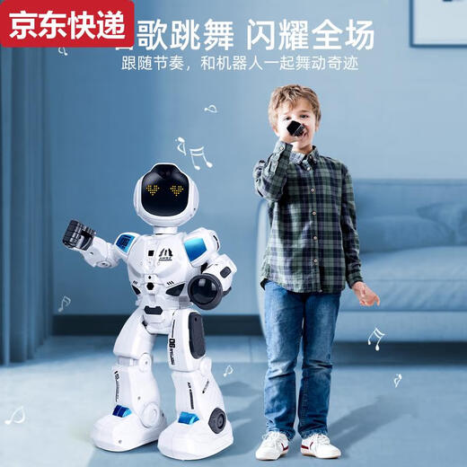 Qilicai 2025 Robot Robot с дистанционным управлением Детские танцы Умный электрический электрический дошкольник игрушки для детей маленького девочка подарка на день рождения 19 Следует