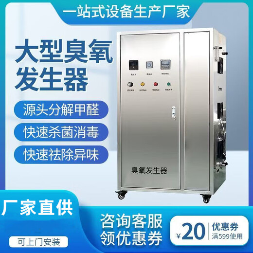 Jesas ozone generator high concentration ozone machine swimming pool water aquaculture water sewage pipe water supply space air sterilization and deodorization equipment F03-300G oxygen source