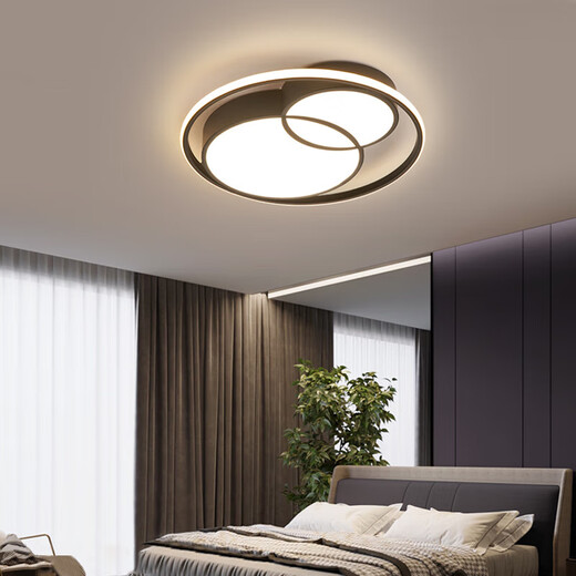 Opudakochi Deckenlampe Wohnzimmer Guangdong Zhongshan Schlafzimmer Wohnzimmer Deckenlampe moderne einfache Studiengang Balkon Lampe Neue Stil 9215 Aromatische Form 50 cm schwarz drei Farben